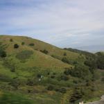 IMG_8183.JPG