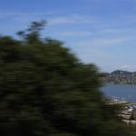 IMG_8190.JPG
