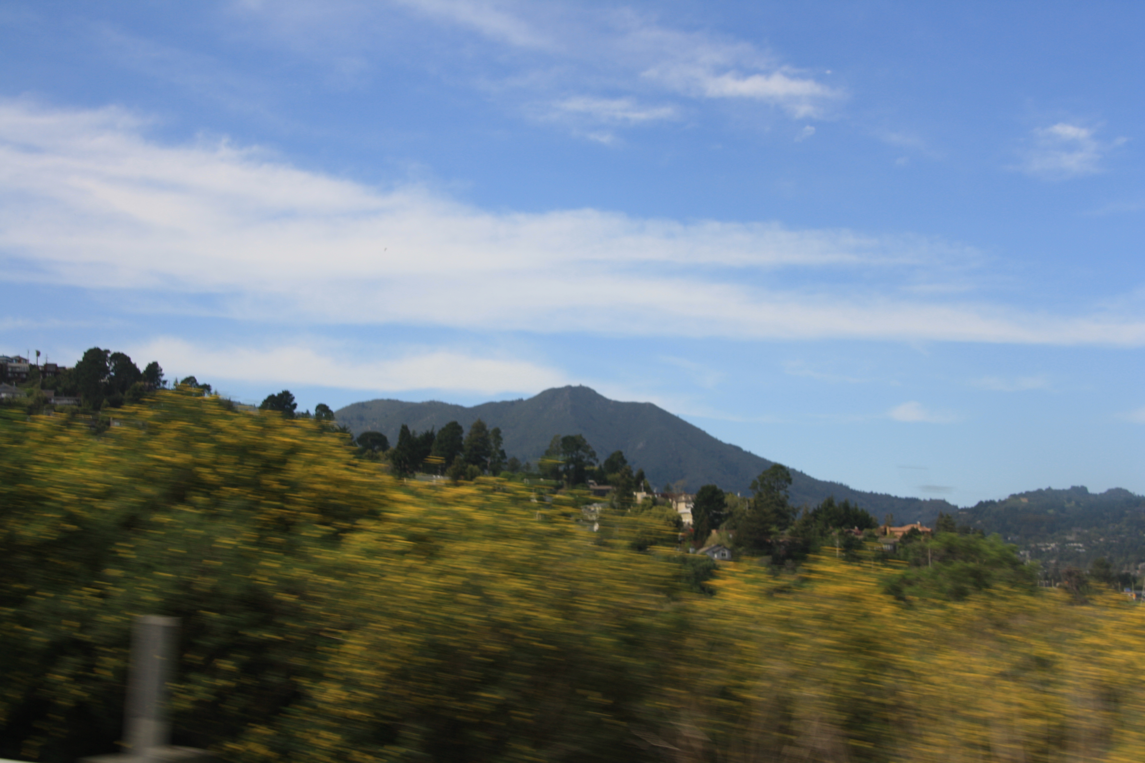 IMG_8204.JPG