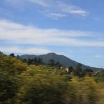 IMG_8204.JPG