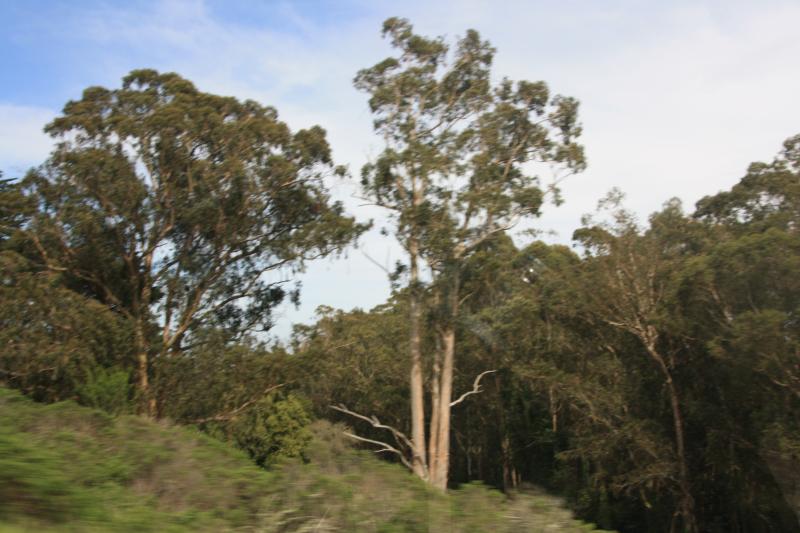 IMG_8217.JPG