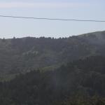 IMG_8221.JPG
