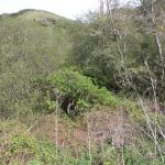 IMG_8223.JPG