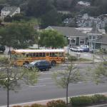 IMG_8796.JPG