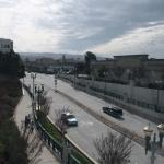 IMG_8808.JPG