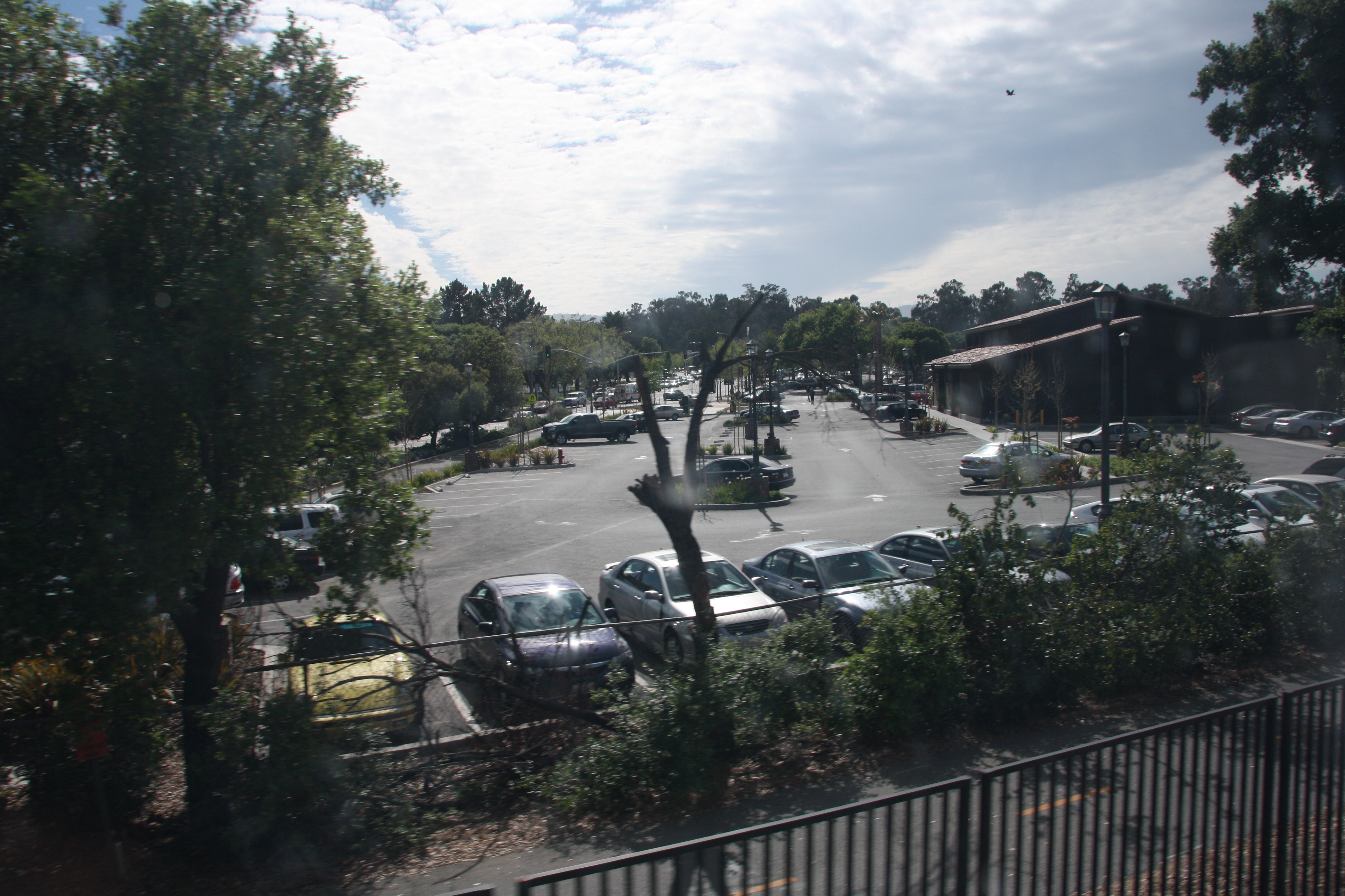 IMG_8819.JPG