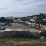 IMG_8766.JPG