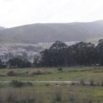 IMG_8770.JPG