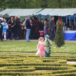 IMG_9312.JPG