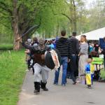 IMG_9337.JPG