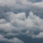 IMG_2071.JPG