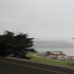 IMG_2325.JPG