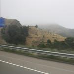 IMG_2342.JPG