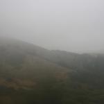 IMG_2346.JPG