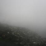 IMG_2350.JPG