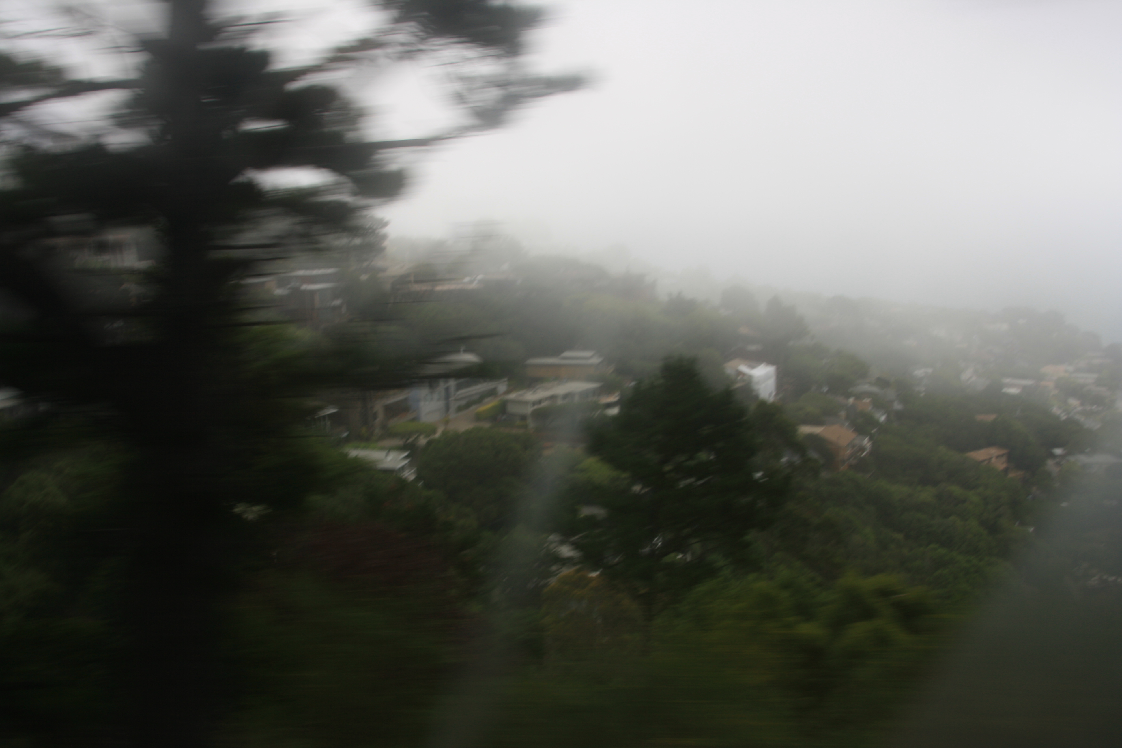 IMG_2353.JPG