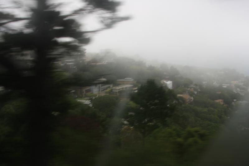 IMG_2353.JPG