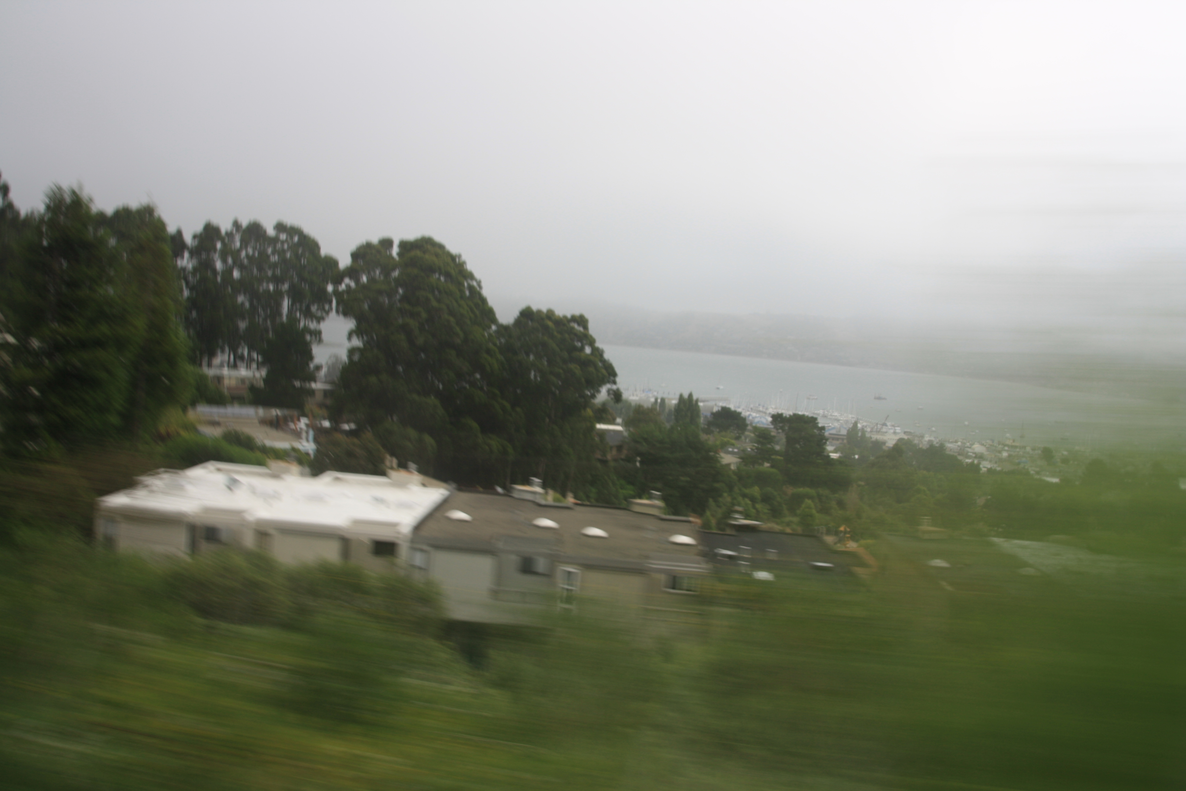 IMG_2357.JPG