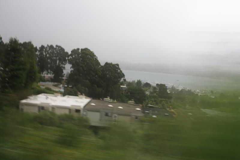 IMG_2357.JPG