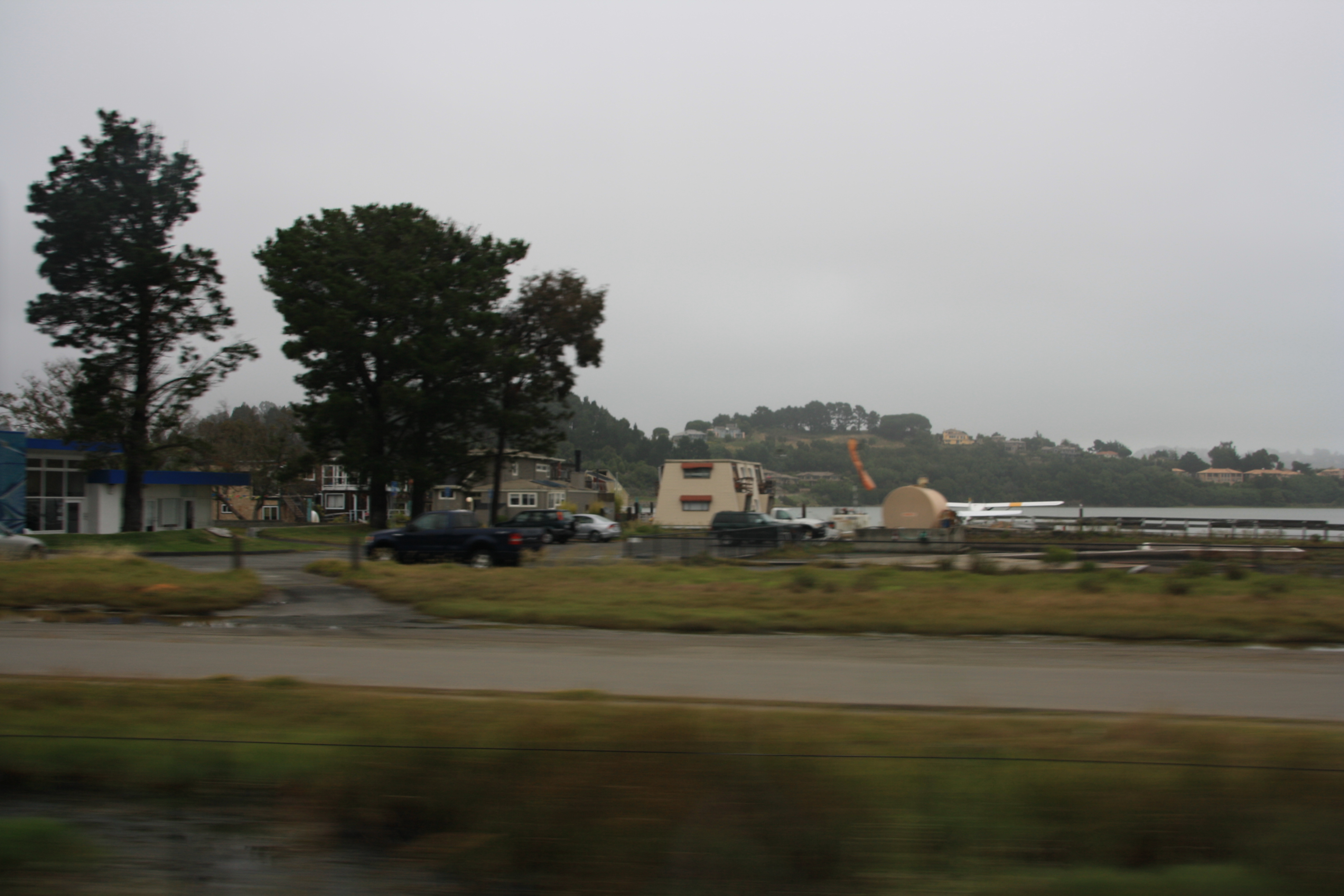 IMG_2364.JPG