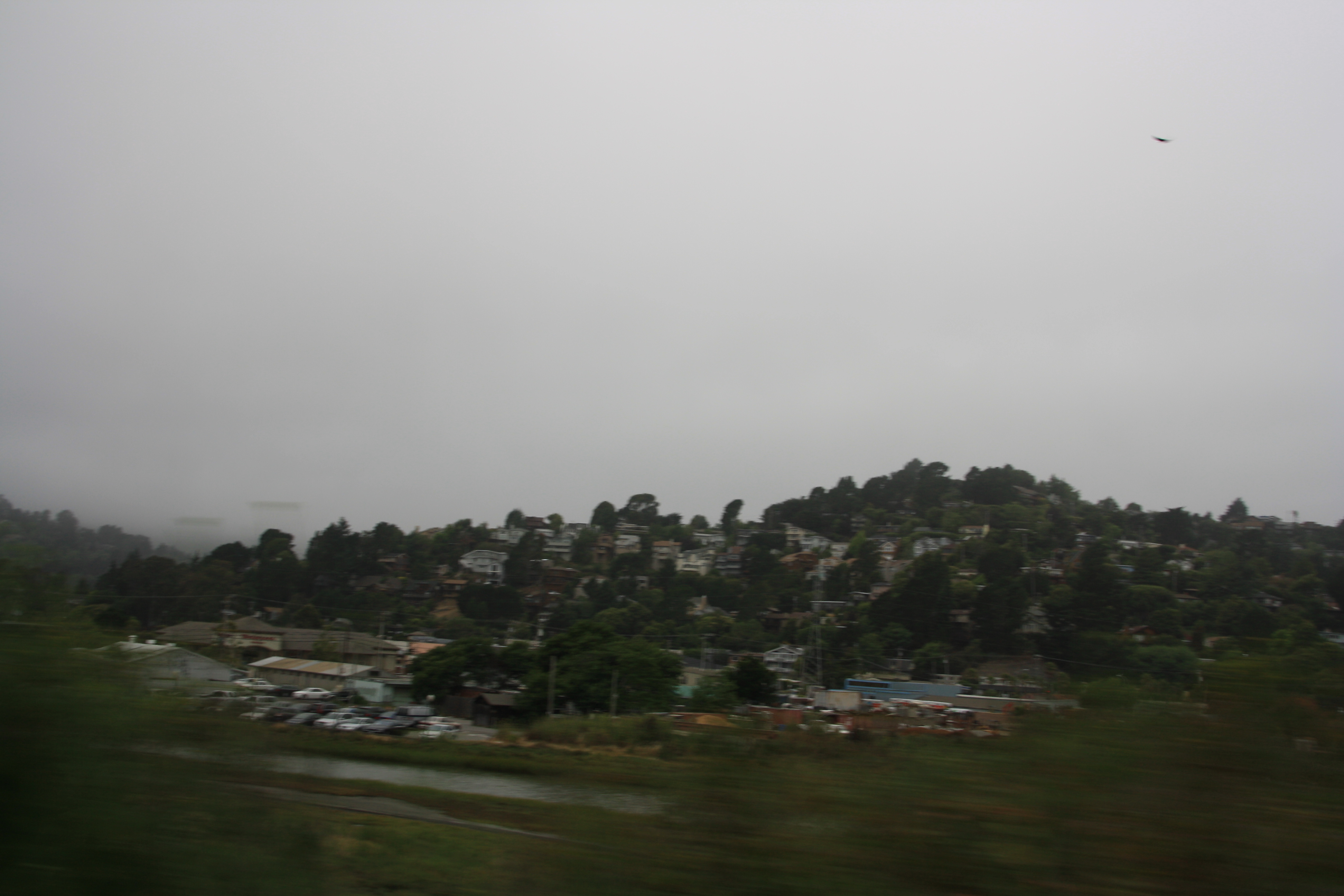 IMG_2366.JPG