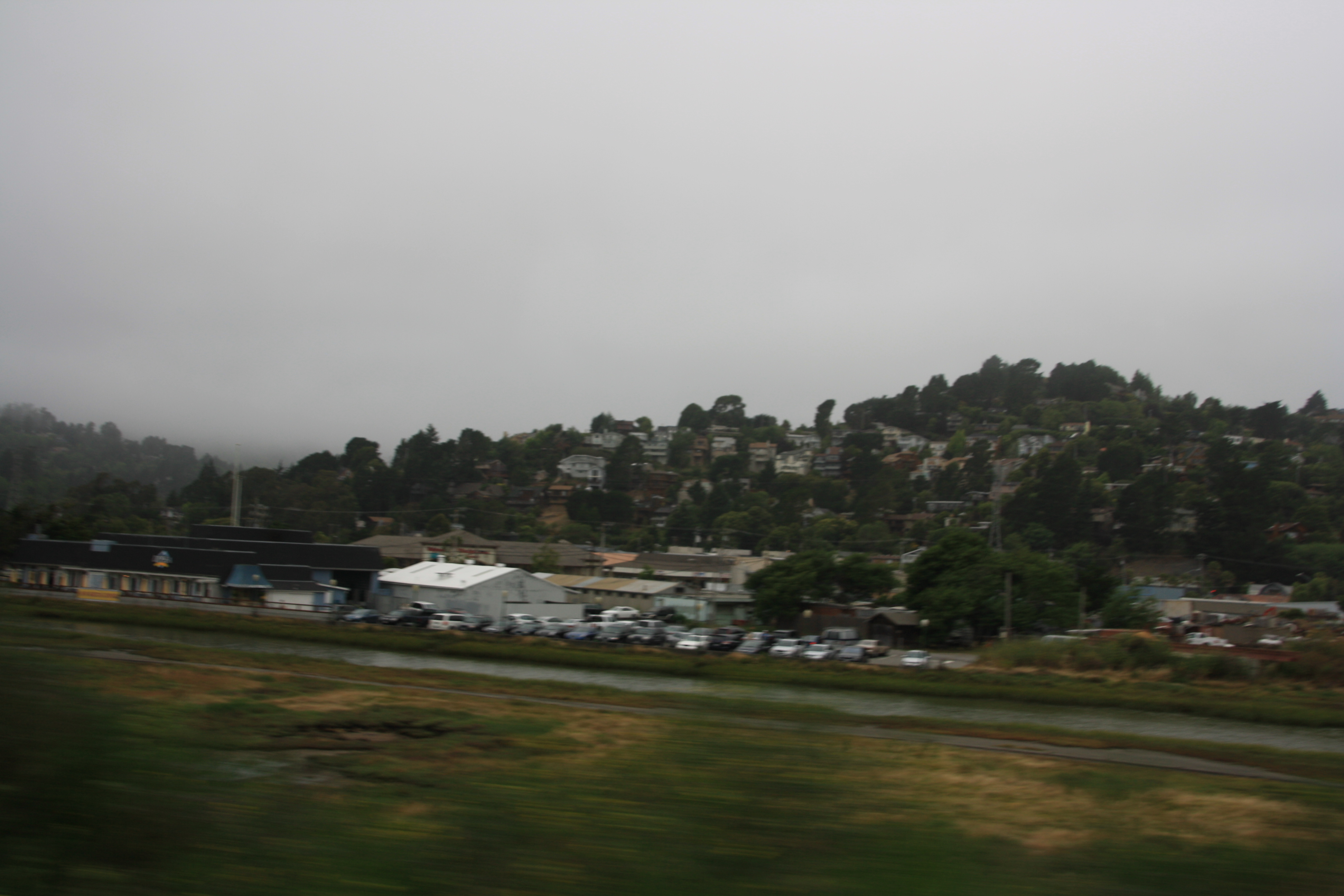 IMG_2368.JPG