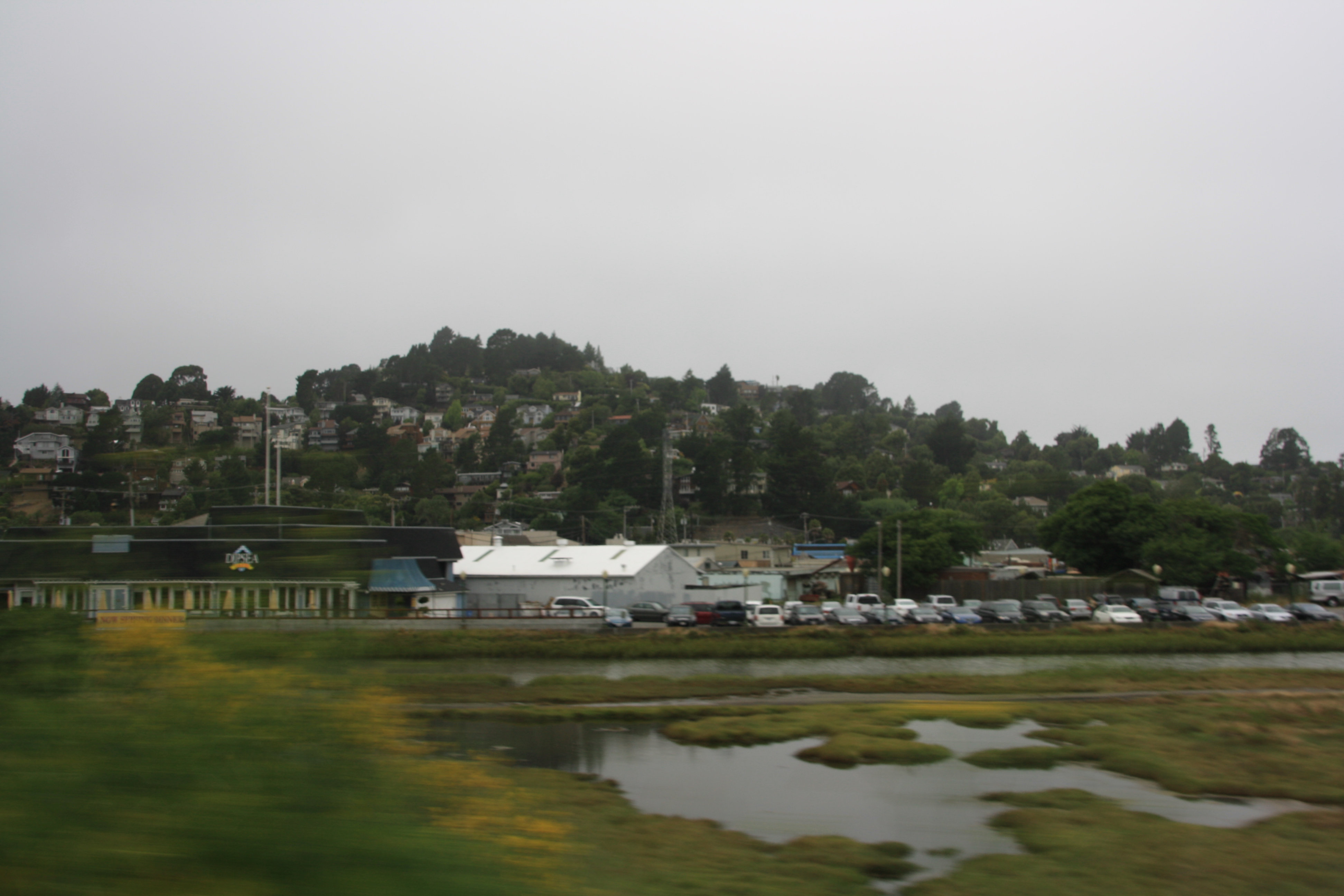 IMG_2370.JPG