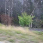 IMG_2371.JPG
