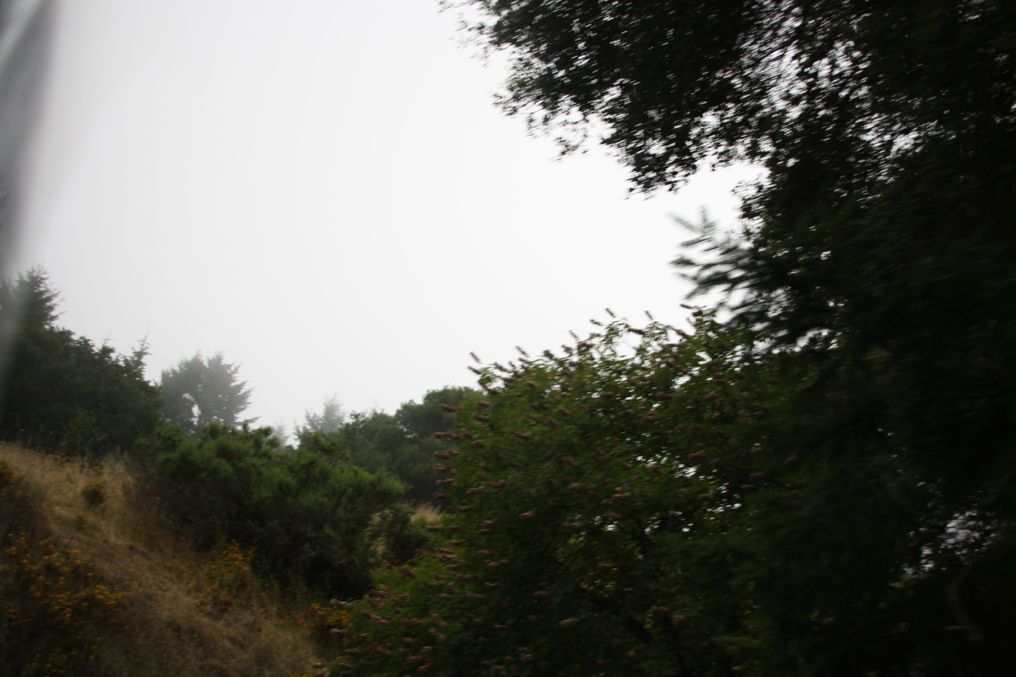 IMG_2384.JPG