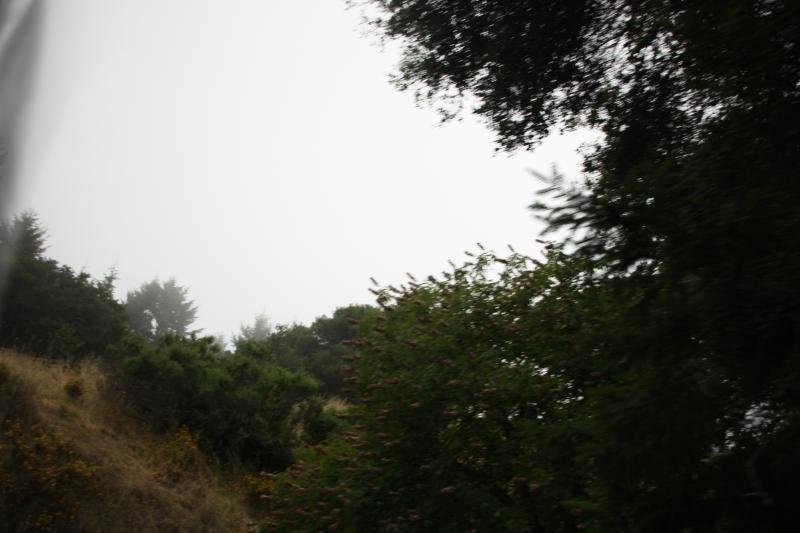 IMG_2384.JPG