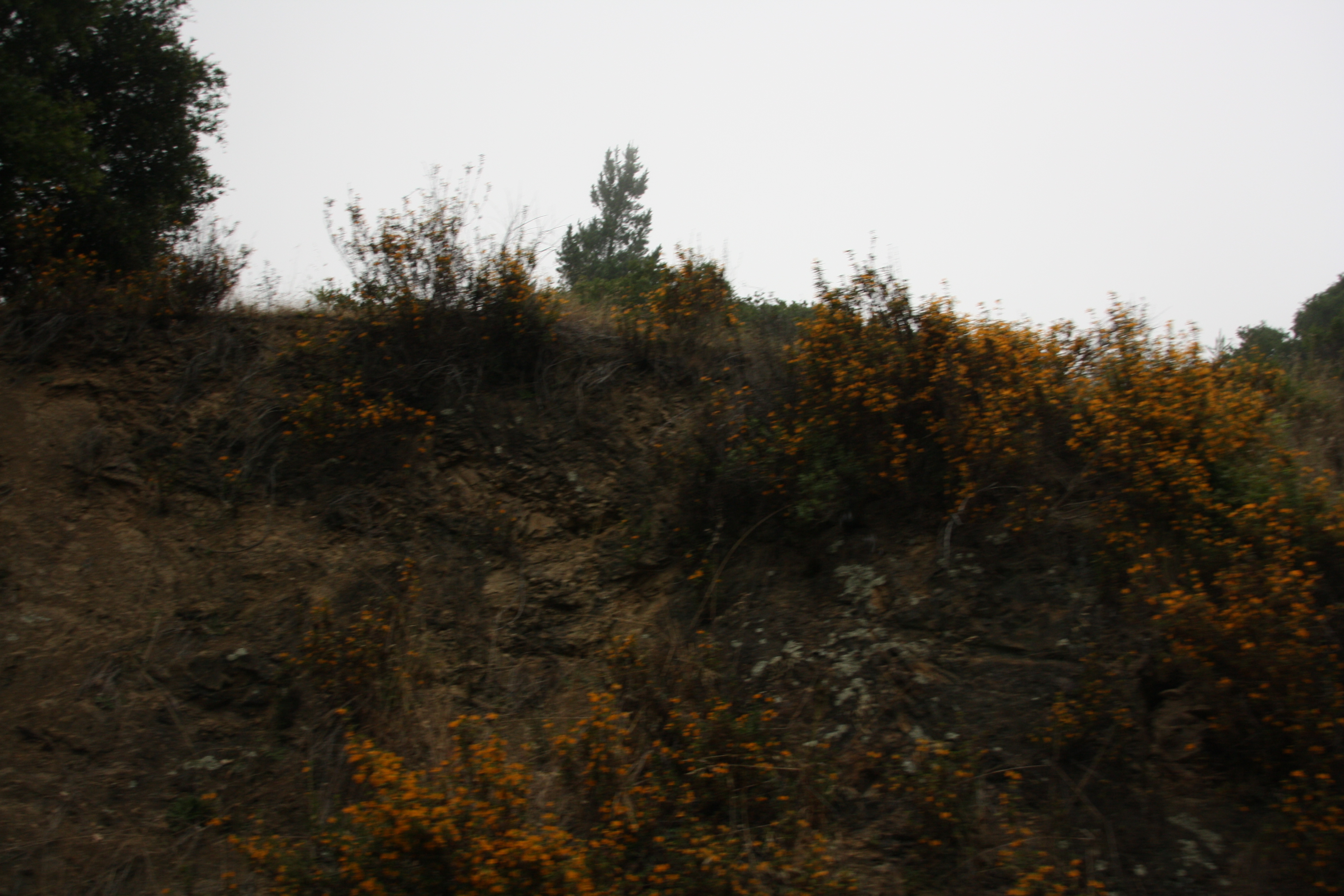 IMG_2385.JPG