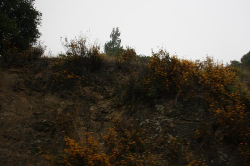IMG_2385.JPG