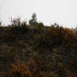 IMG_2385.JPG