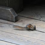 IMG_2403.JPG