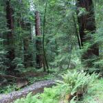 IMG_2417.JPG