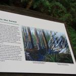 IMG_2426.JPG