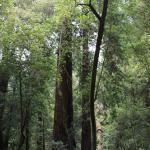 IMG_2443.JPG