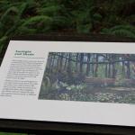 IMG_2444.JPG