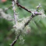 IMG_2453.JPG