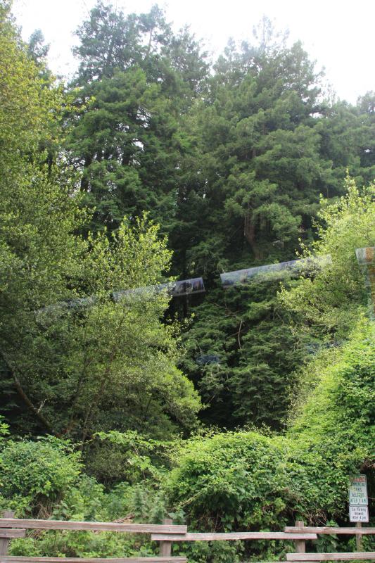 IMG_2486.JPG