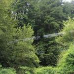IMG_2486.JPG