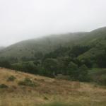 IMG_2490.JPG