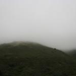 IMG_2496.JPG