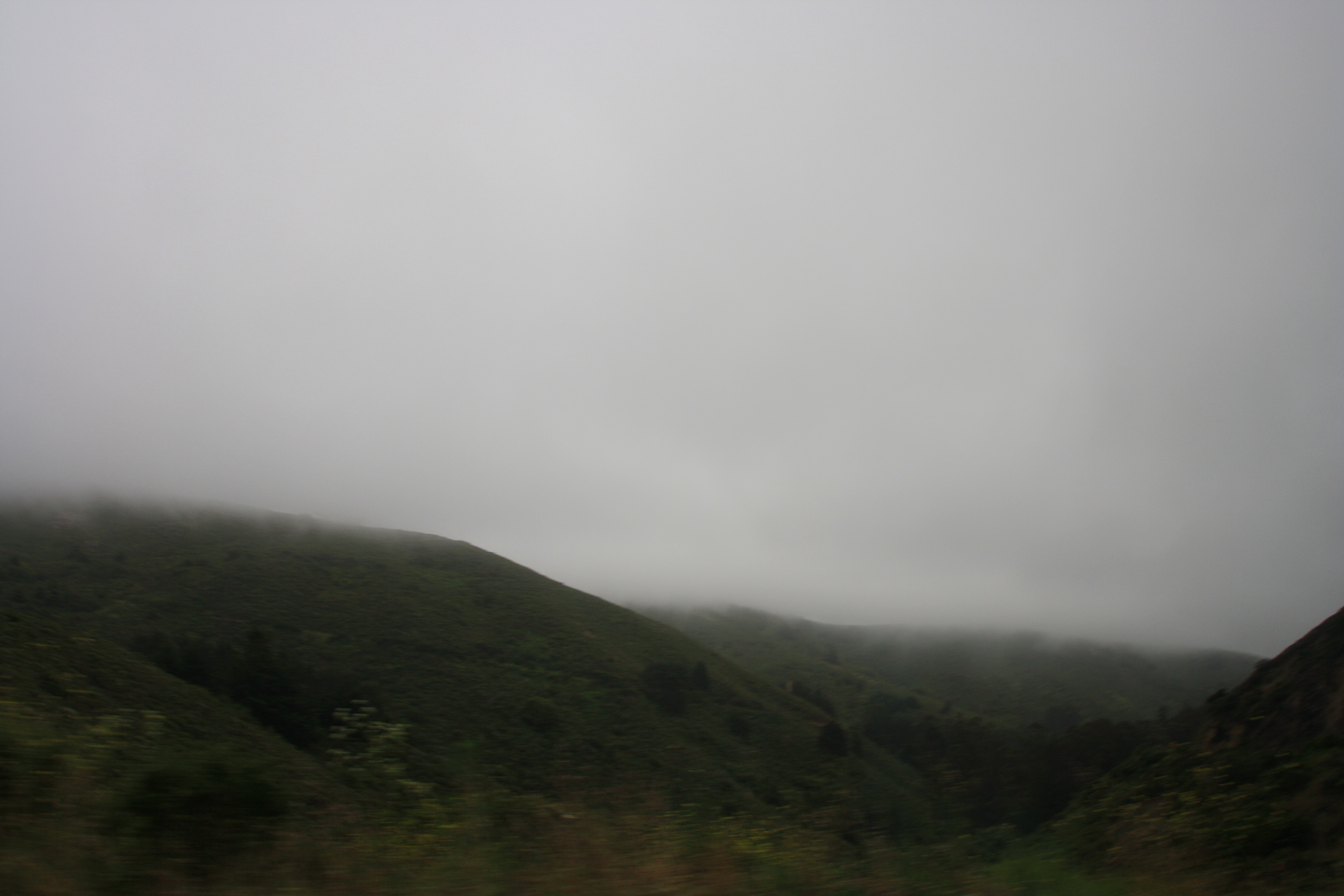 IMG_2497.JPG
