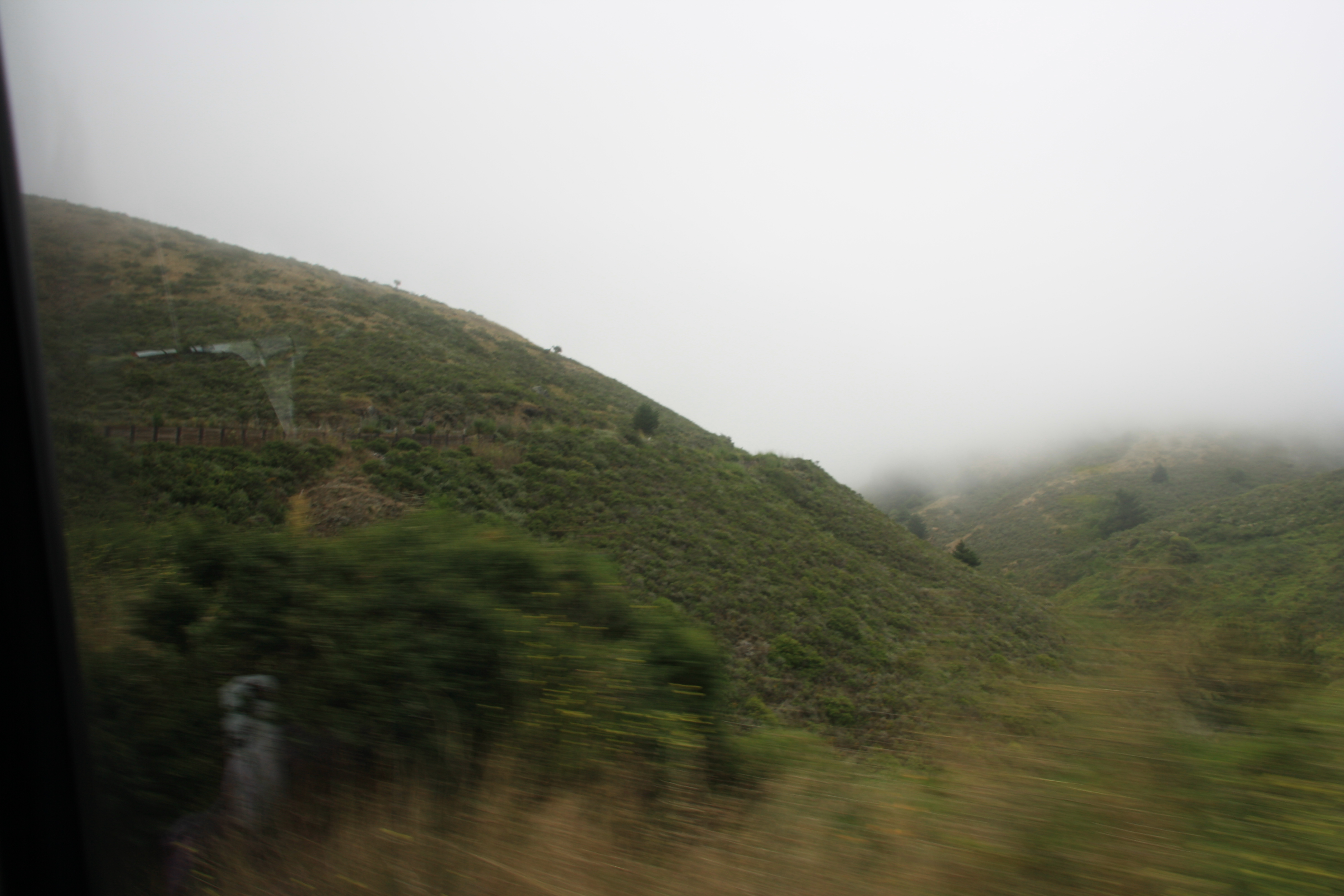 IMG_2499.JPG