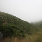 IMG_2499.JPG