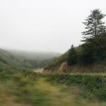 IMG_2500.JPG