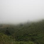 IMG_2503.JPG