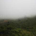 IMG_2504.JPG