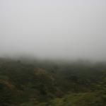 IMG_2505.JPG